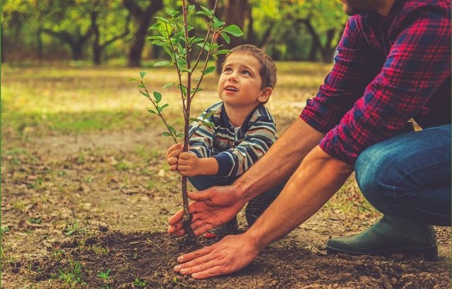 Единый день озеленения пройдет на Минщине 11 октября