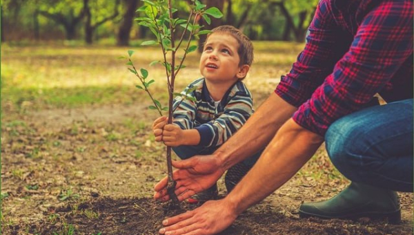Единый день озеленения пройдет на Минщине 11 октября