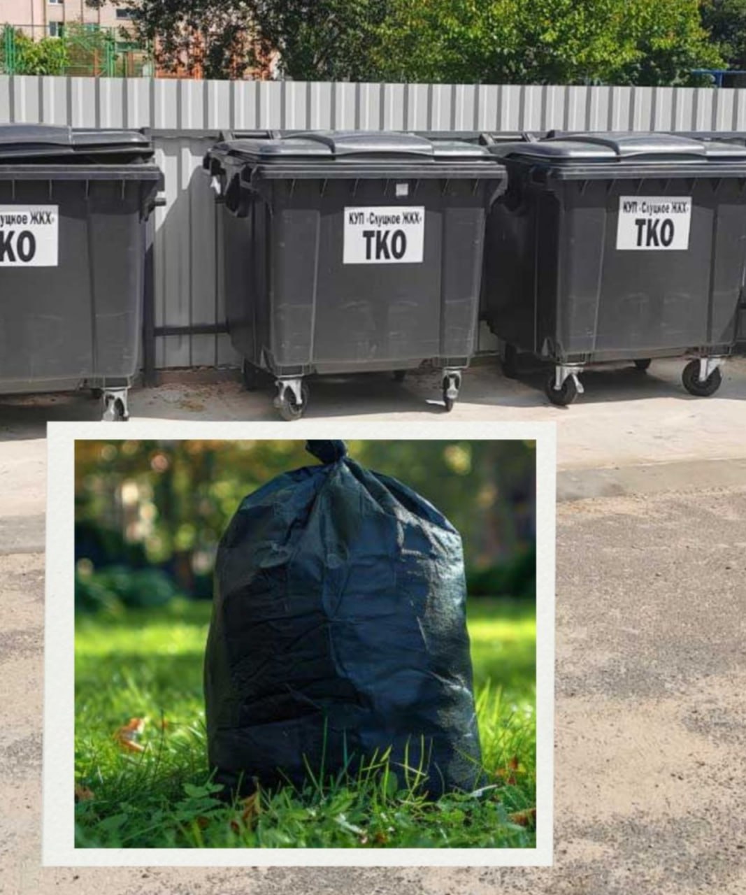 Правила обращения с растительными отходами