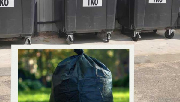 Правила обращения с растительными отходами