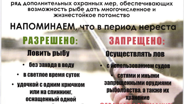 Специальное комлексное мероприятие "Нерест"