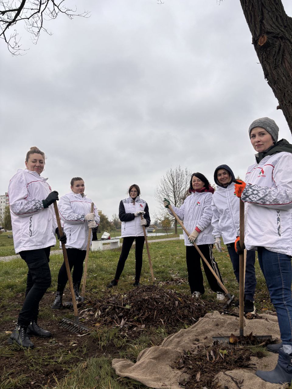 photo 2025 10 24 12 19 50 2