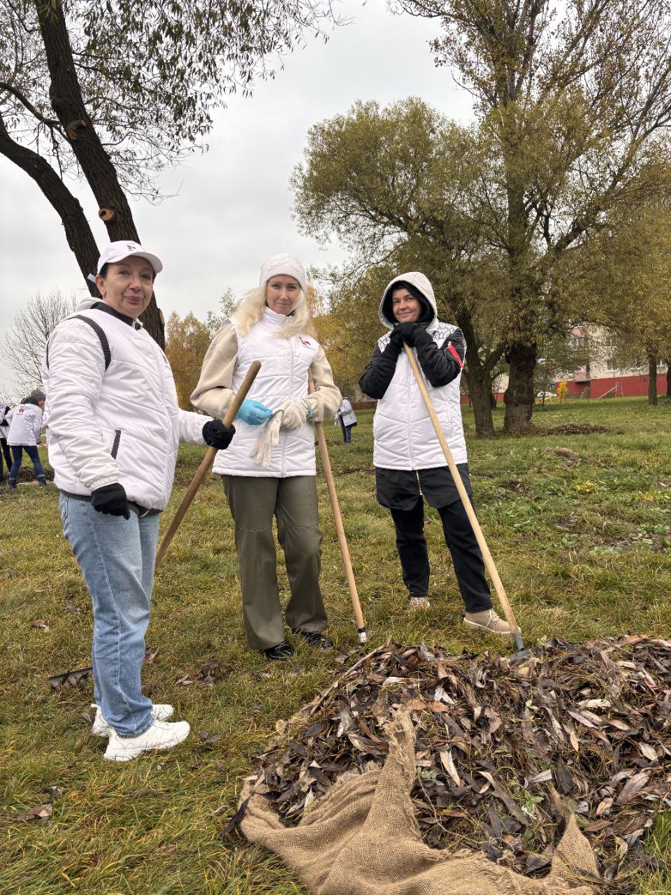 photo 2025 10 24 12 25 19